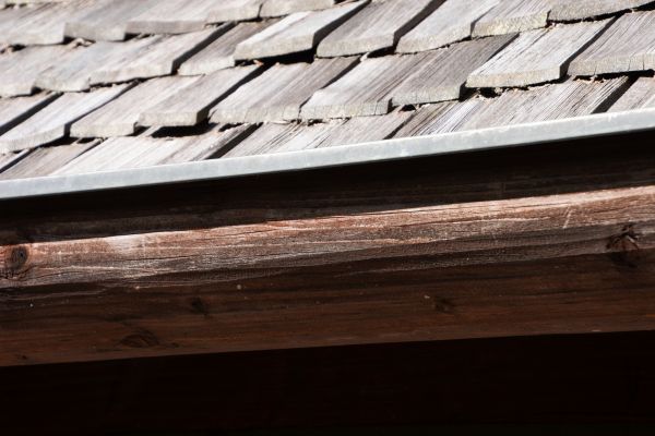 Wood Gutter Service in Belleville