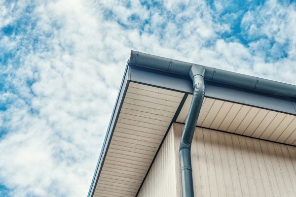 Gutter Fascia Repair in Belleville